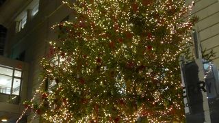 今年もクリスマスツリー飾りとイベントを開催中でした!!