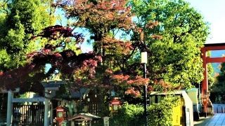 大神宮社と紅葉が一緒♪