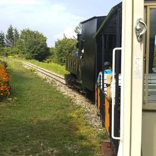 園内を一周します。ゆっくり一周7分くらいでした。