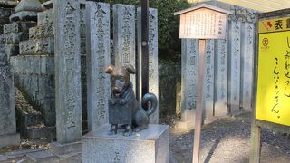 金比羅さんの「忠犬・ハチ公」？