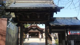 入館料８００円の価値はなし