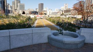 可愛い花（笑）