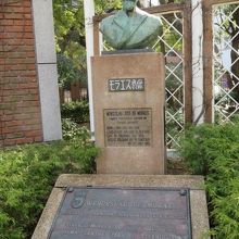 実際は髭だらけの人です