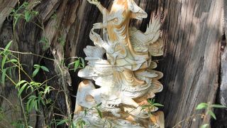 いろいろなご利益が期待できる神社