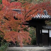 地元で名高いもみじ寺です