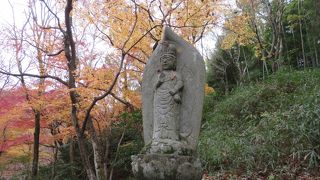 紅葉のスポット！