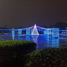 綺麗でした。