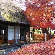 風情ある畳敷きの茶室でゆっくり休めます