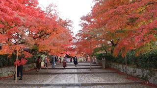 紅葉で紅く彩ろられた境内は格別でした