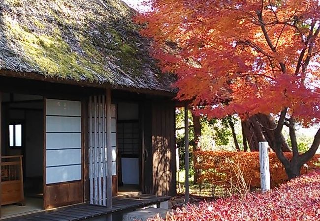 風情ある畳敷きの茶室でゆっくり休めます