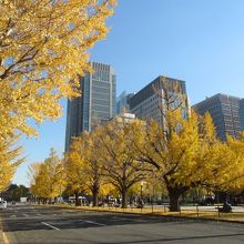 内堀通り近くの北側歩道からの様子