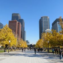 内堀通り近くからの様子(中央正面がＪＲ東京駅)