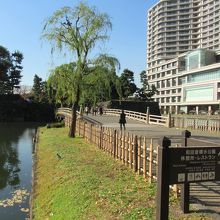日比谷通りの歩道からの様子