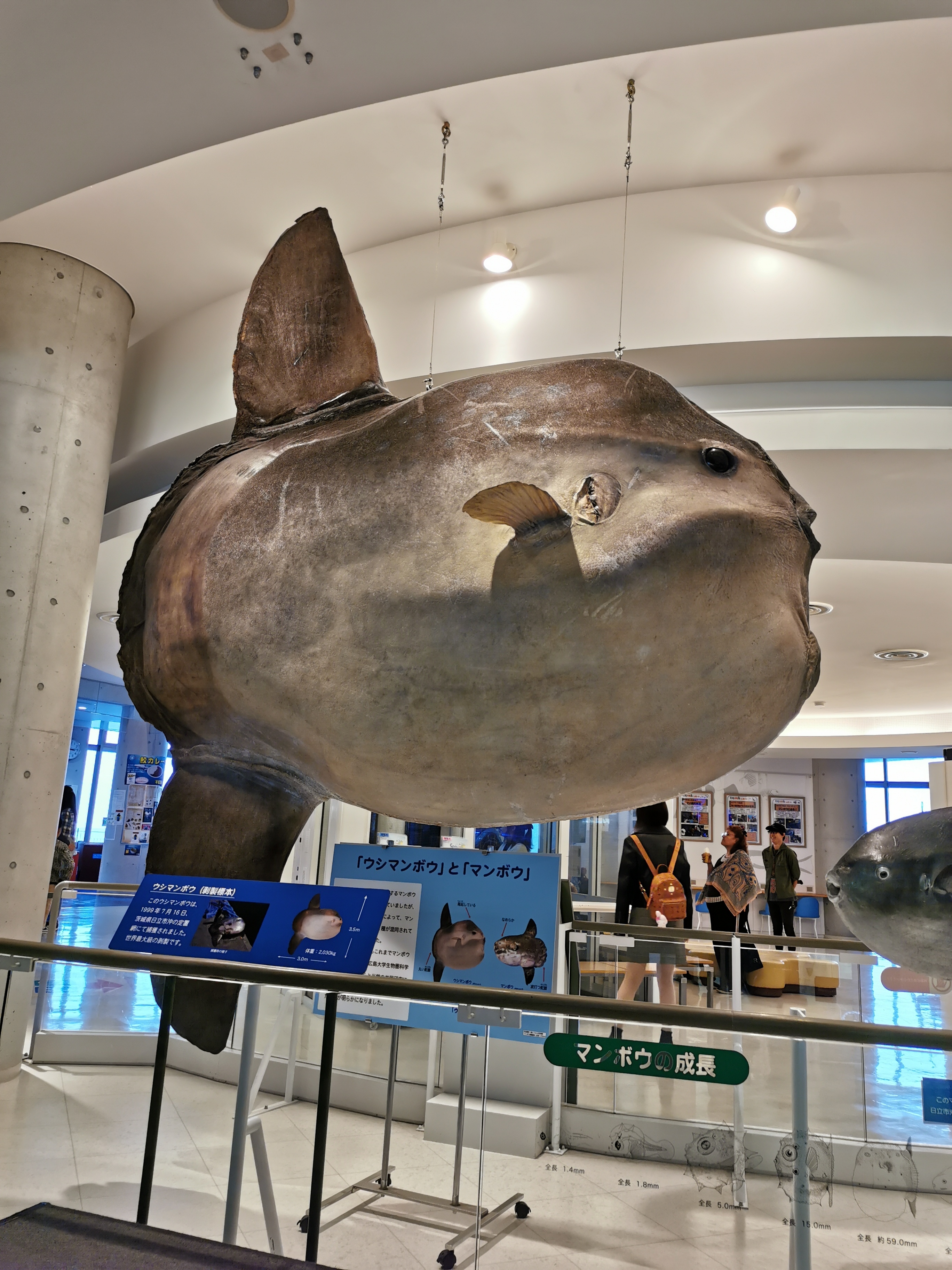 アクアワールド茨城県大洗水族館