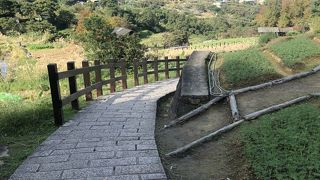 茶園が周囲に広がる歩道