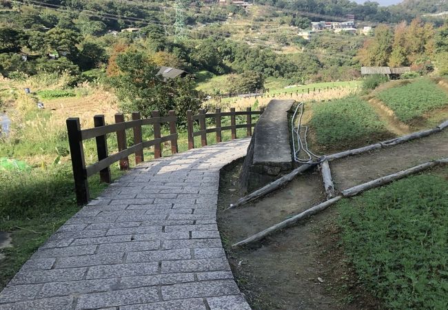 茶園が周囲に広がる歩道