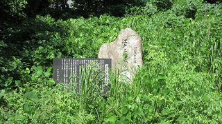 東京大学医学部付属病院からもほど近い緑地に、大きな石碑があり立ち寄りました。