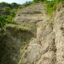 十八羅漢山自然保護区の様子、有史以前の地層？