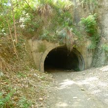 十八羅漢山自然保護区の様子、トンネル、現在の道路が出来る迄、
