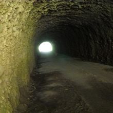十八羅漢山自然保護区の様子、トンネル内の様子