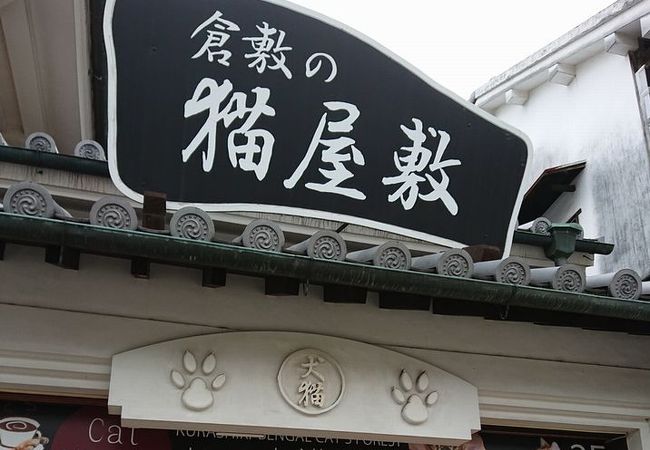 倉敷の犬猫屋敷 クチコミ アクセス 営業時間 倉敷 フォートラベル