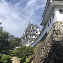 霧が立ち込めると、天空の城になるみたいですね