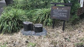 雨ざらしの化石です。