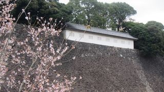 乾通りから眺めた方が見応えがある