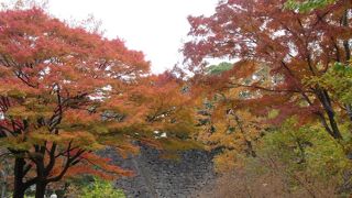 散策によい都会のオアシス