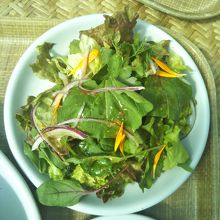 セットのハーブサラダ