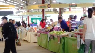 旬の果物がわかる