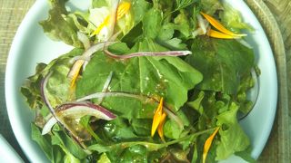 ハーブを使用したお料理＆ドリンク