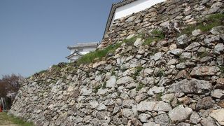 貴重な野面積の石垣。