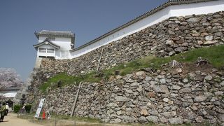 段々になった曲輪がよくわかる場所。