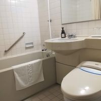 一般的なビジホ仕様