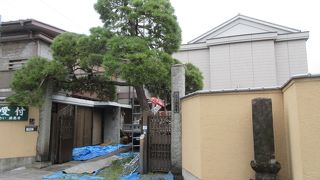 植木屋さんが剪定していました