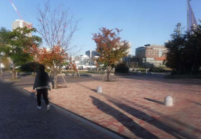 豊洲六丁目公園 クチコミ アクセス 営業時間 豊洲 フォートラベル 豊洲六丁目公園 クチコミ アクセス 営業時間 豊洲 フォートラベル