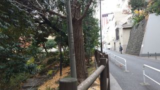 緑多い素敵な場所