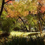 筑前の小京都☆城下町の秋月城跡の紅葉 