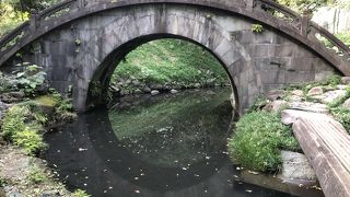 水面に写ると満月