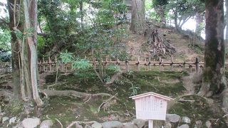 「山頂」まで登ると、霞ヶ池が目の前に広り、見事な景観を楽しむことが出来ました。