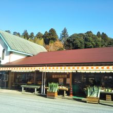 道の駅ながら　この素朴さが最大の魅力