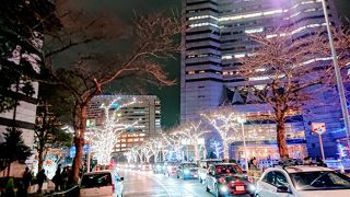 白いイルミネーション