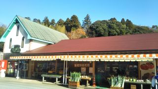 お百姓市場のような奇をてらうこともない道の駅