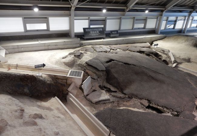 北淡震災記念公園 フェニックスパーク クチコミ アクセス 営業時間 淡路島 フォートラベル