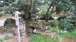 「龍」を拡大解釈して「ゴジラ」を含めるなら、その背びれに見えなくもないか・・。