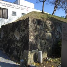 大通りに突如現れる。