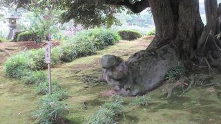 それほど見ごたえあるスポットとは言い難いですね。