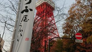 東京タワーと赤いもみじの日本庭園と個室でお豆腐