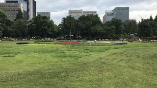 いつも花が咲いてる印象です。